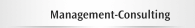 Management-Consulting